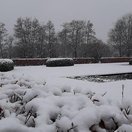 B&B De Levensboom Tessenderlo Zewnętrze zdjęcie