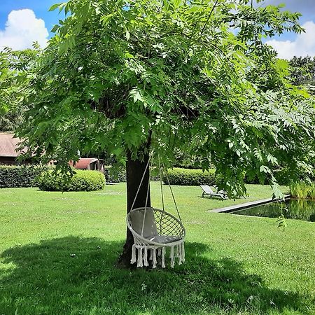 B&B De Levensboom Tessenderlo Zewnętrze zdjęcie
