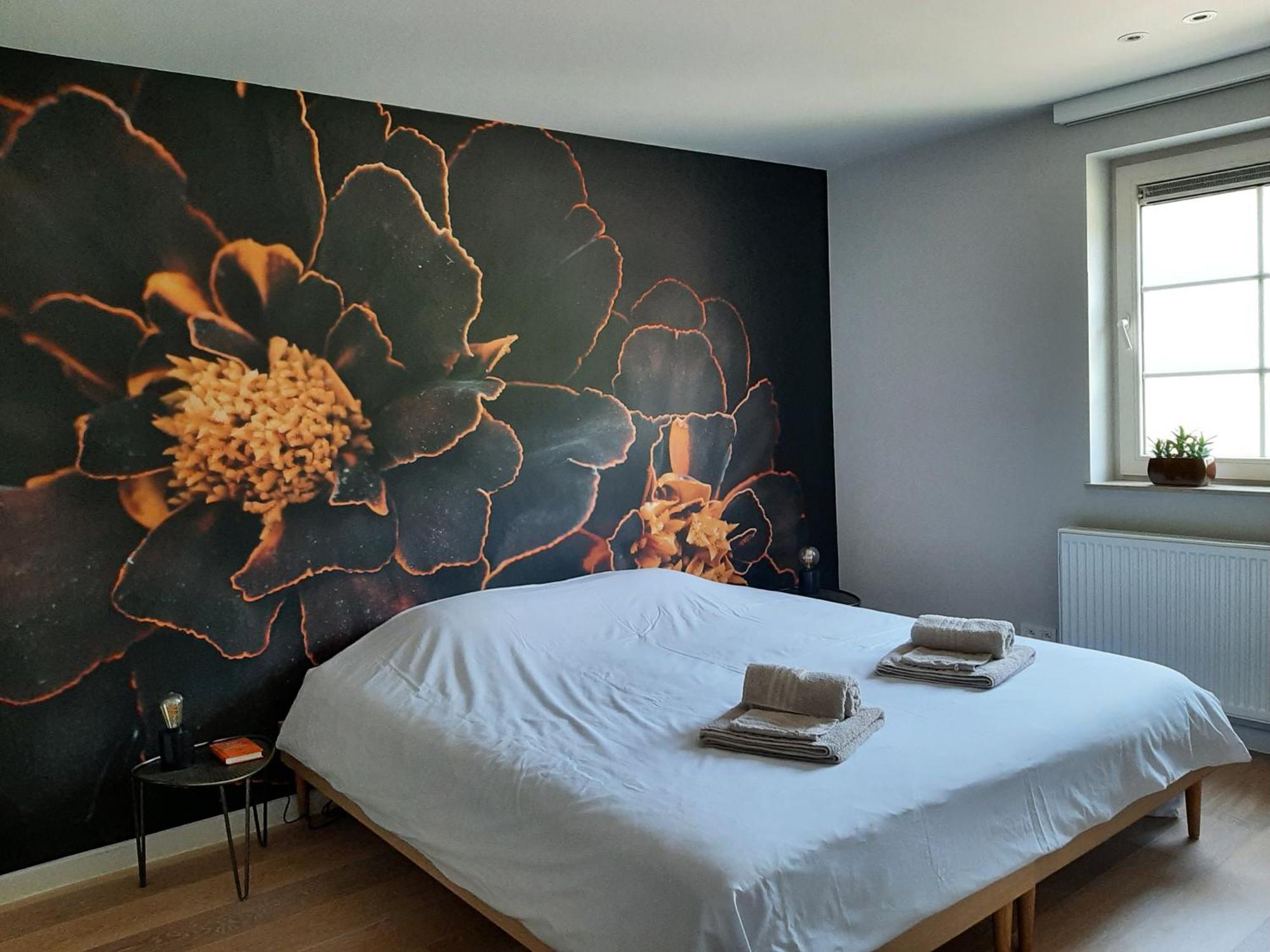 B&B De Levensboom Tessenderlo Zewnętrze zdjęcie