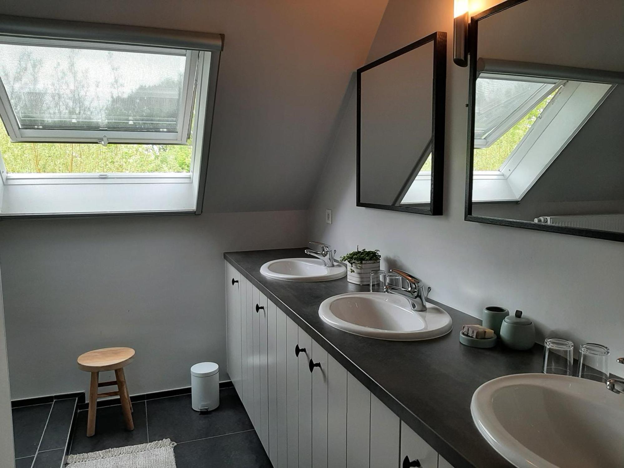 B&B De Levensboom Tessenderlo Zewnętrze zdjęcie